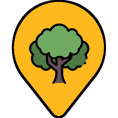 Safe Tree First